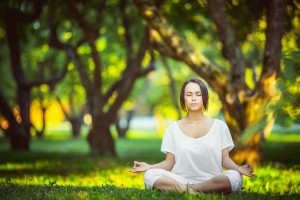 开云体育app-黄蜂争冠战与欧冠淘汰赛，当战胜成为跨越体育疆域的永恒动词