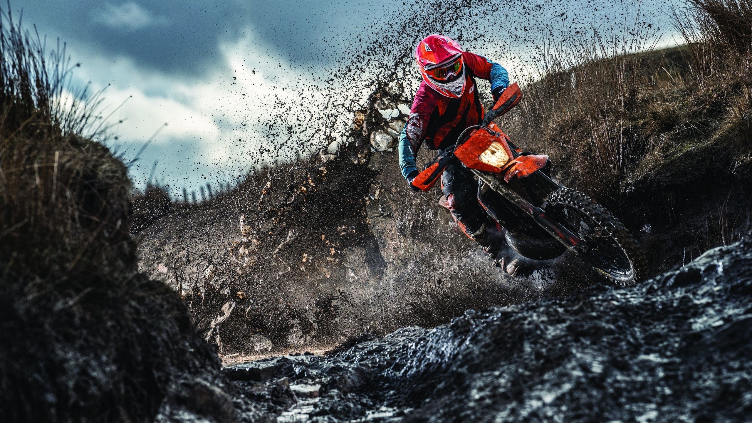 当爱德华兹撕裂达拉斯的夜晚,森林狼的孤星如何照亮团队篮球的极限